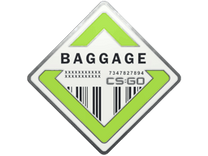  Pin - Genuine Baggage Pin