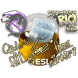 Autograph Capsule - Rio 2022 Champions Autograph Capsule