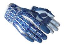 Sport Gloves - Amphibious