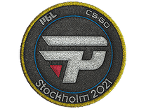 Team Patch - paiN Gaming | Stockholm 2021