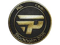 Team Patch - paiN Gaming (Gold) | Stockholm 2021