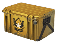 The Winter Offensive Collection - Winter Offensive Weapon Case